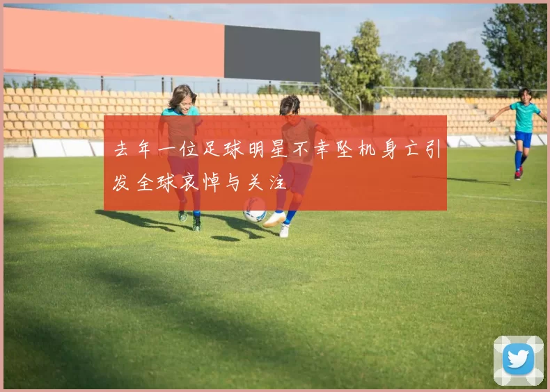 去年一位足球明星不幸坠机身亡引发全球哀悼与关注