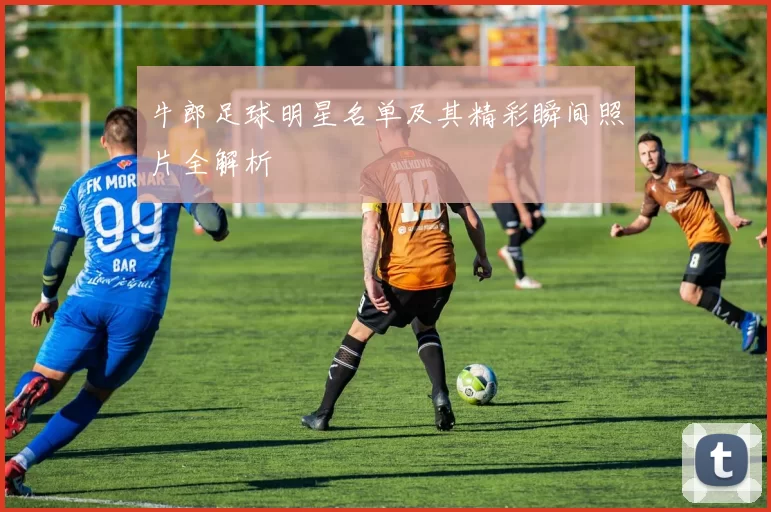 牛郎足球明星名单及其精彩瞬间照片全解析