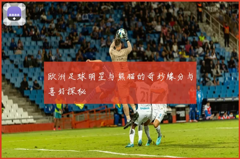 欧洲足球明星与熊猫的奇妙缘分与喜好探秘
