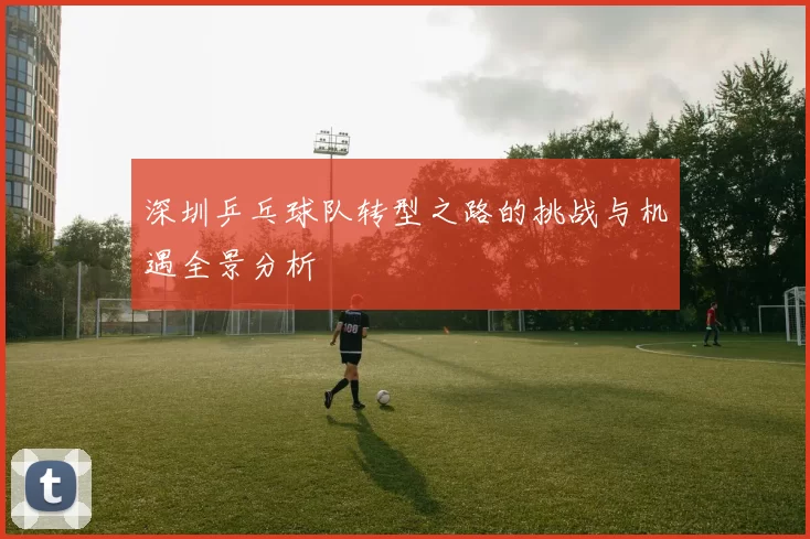 深圳乒乓球队转型之路的挑战与机遇全景分析