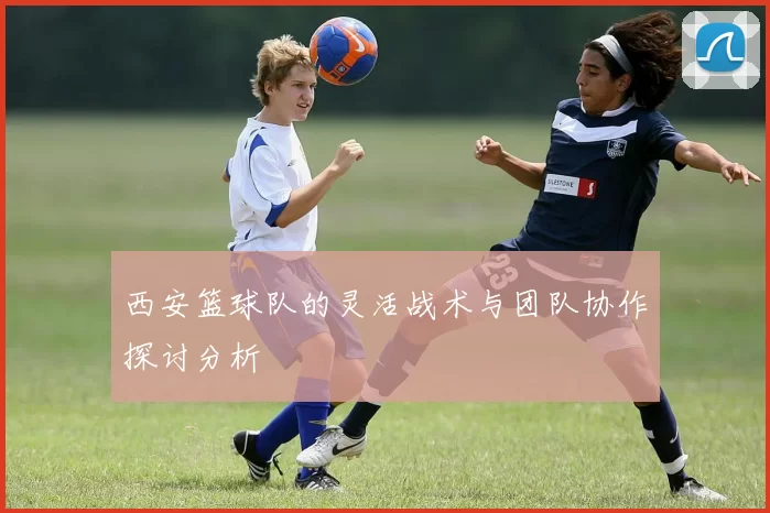 西安篮球队的灵活战术与团队协作探讨分析