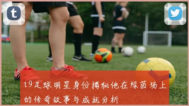 t9足球明星身份揭秘他在绿茵场上的传奇故事与成就分析