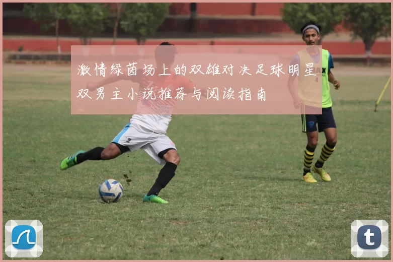 激情绿茵场上的双雄对决足球明星双男主小说推荐与阅读指南