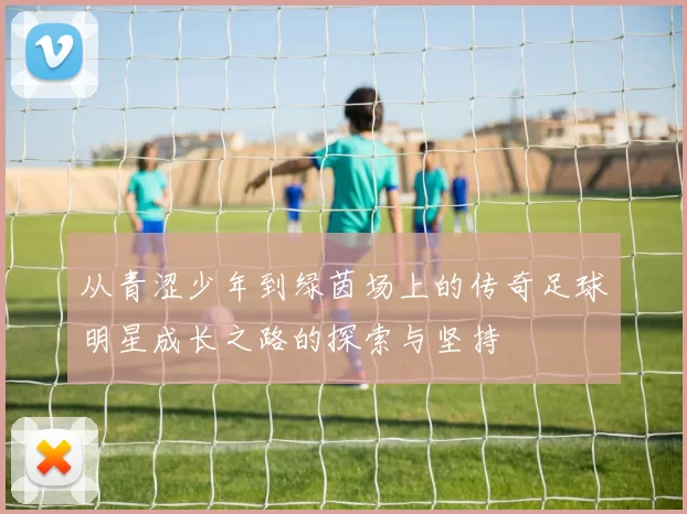 从青涩少年到绿茵场上的传奇足球明星成长之路的探索与坚持