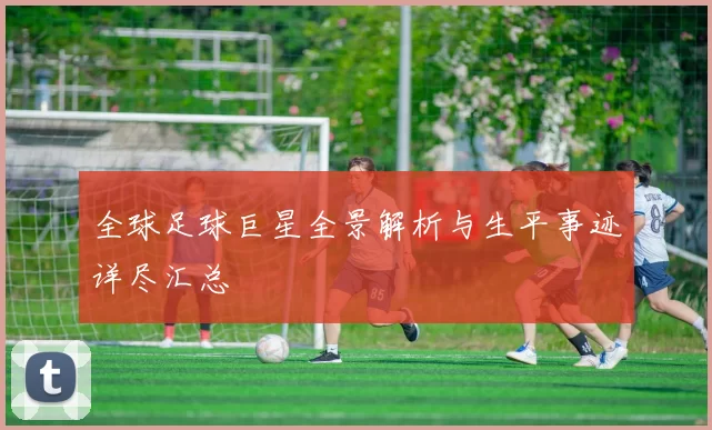 全球足球巨星全景解析与生平事迹详尽汇总