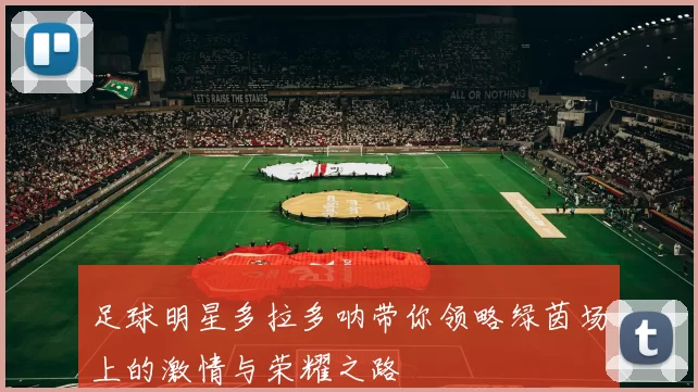 足球明星多拉多呐带你领略绿茵场上的激情与荣耀之路