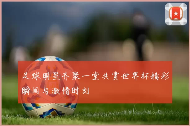 足球明星齐聚一堂共赏世界杯精彩瞬间与激情时刻