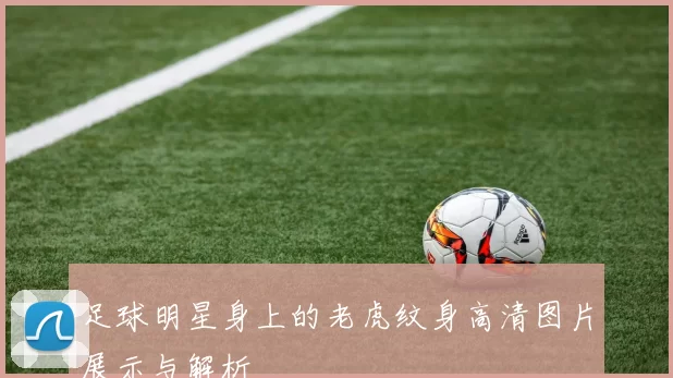 足球明星身上的老虎纹身高清图片展示与解析