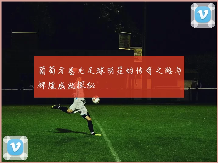 葡萄牙卷毛足球明星的传奇之路与辉煌成就探秘