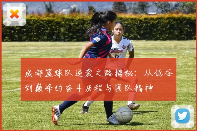 成都篮球队逆袭之路揭秘：从低谷到巅峰的奋斗历程与团队精神