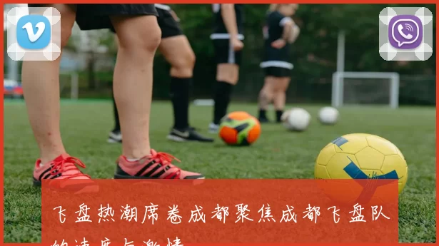飞盘热潮席卷成都聚焦成都飞盘队的速度与激情