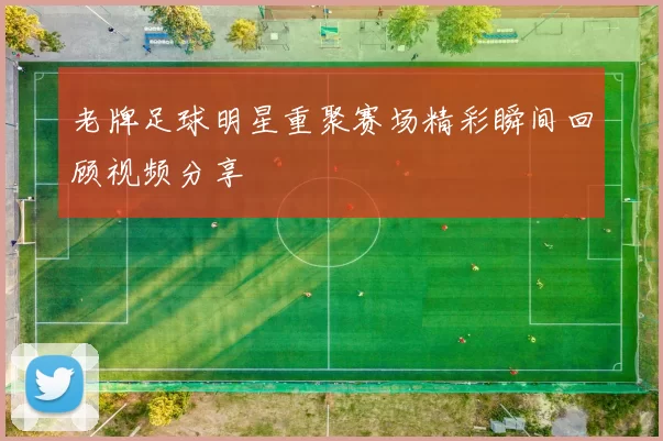 老牌足球明星重聚赛场精彩瞬间回顾视频分享