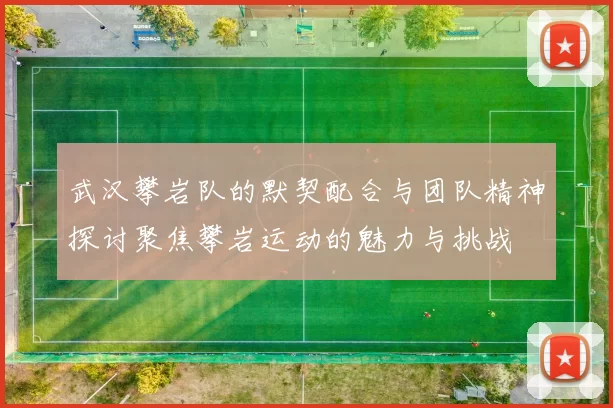 武汉攀岩队的默契配合与团队精神探讨聚焦攀岩运动的魅力与挑战
