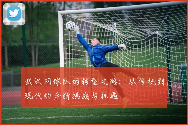 武汉网球队的转型之路：从传统到现代的全新挑战与机遇