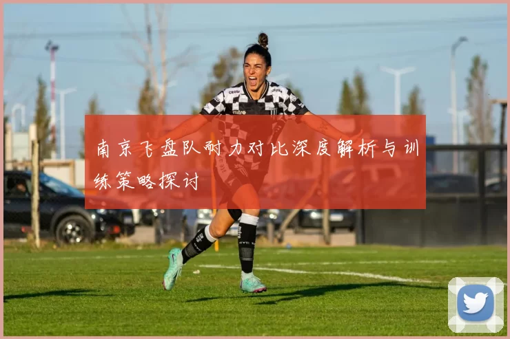 南京飞盘队耐力对比深度解析与训练策略探讨