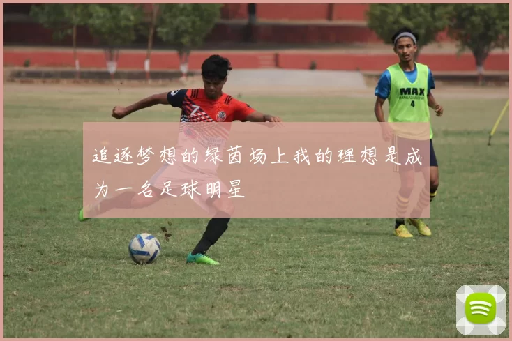 追逐梦想的绿茵场上我的理想是成为一名足球明星
