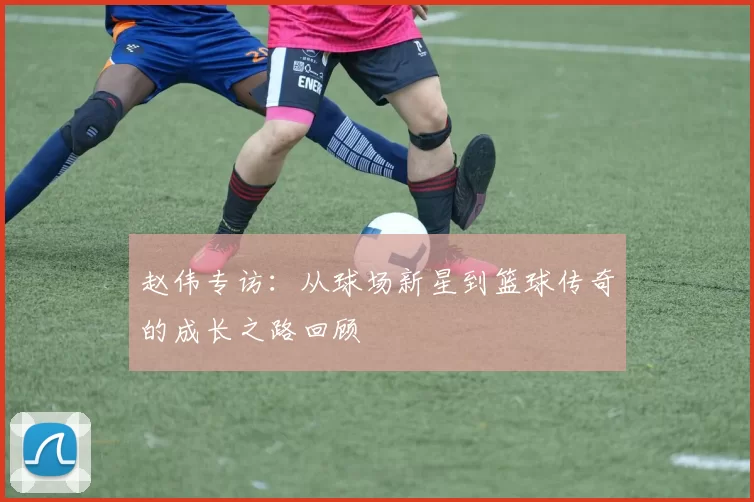赵伟专访：从球场新星到篮球传奇的成长之路回顾