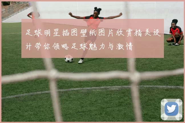 足球明星插图壁纸图片欣赏精美设计带你领略足球魅力与激情