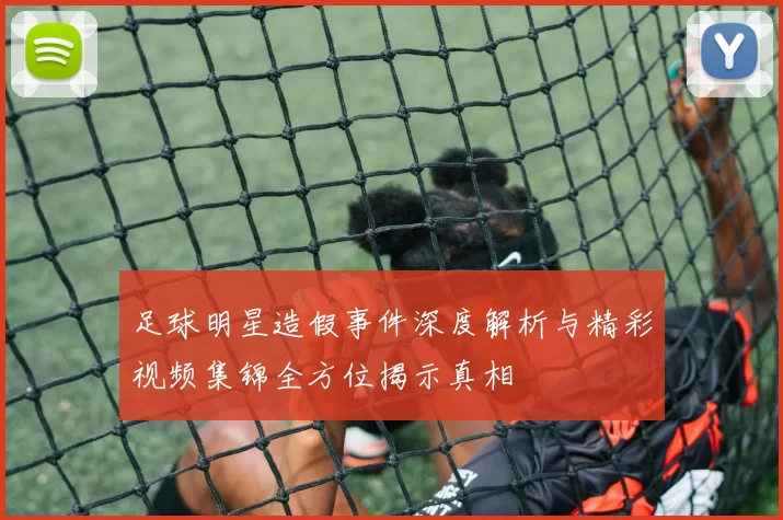 足球明星造假事件深度解析与精彩视频集锦全方位揭示真相