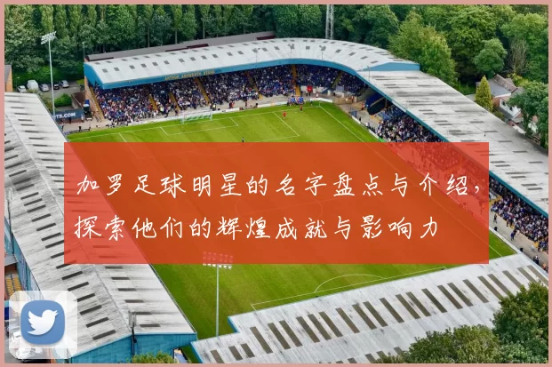 加罗足球明星的名字盘点与介绍，探索他们的辉煌成就与影响力