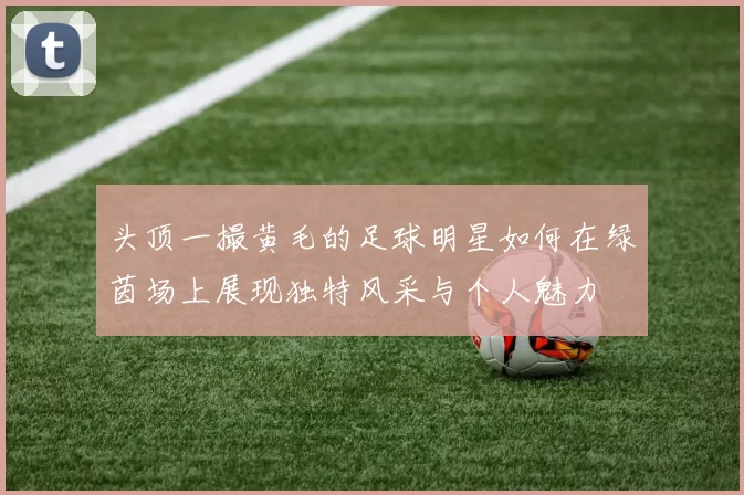 头顶一撮黄毛的足球明星如何在绿茵场上展现独特风采与个人魅力