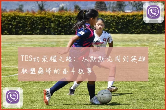 TES的荣耀之路：从默默无闻到英雄联盟巅峰的奋斗故事