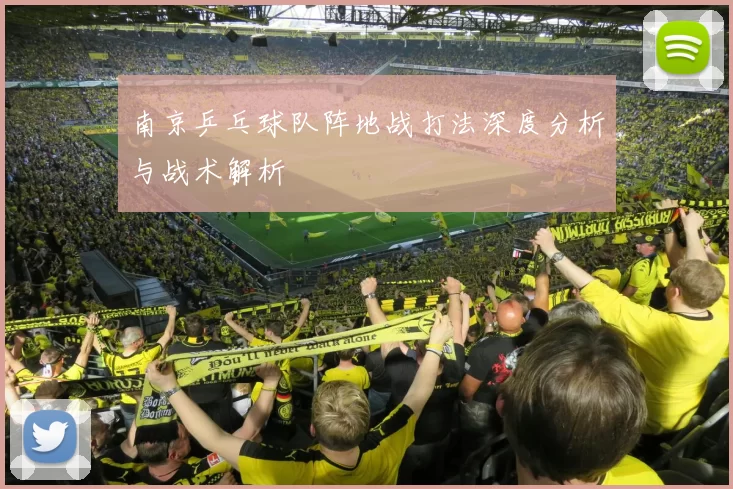 南京乒乓球队阵地战打法深度分析与战术解析