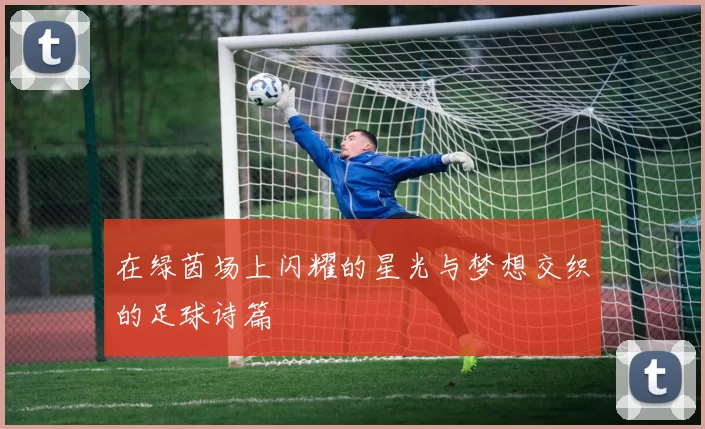 在绿茵场上闪耀的星光与梦想交织的足球诗篇