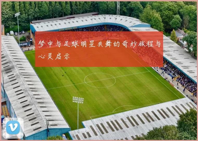 梦中与足球明星共舞的奇妙旅程与心灵启示