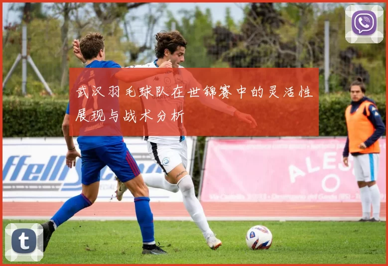 武汉羽毛球队在世锦赛中的灵活性展现与战术分析