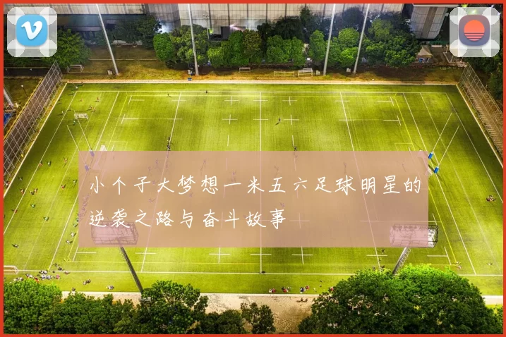 小个子大梦想一米五六足球明星的逆袭之路与奋斗故事