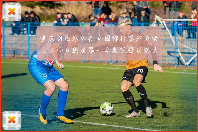 重庆羽毛球队在全国锦标赛积分榜上以73分稳居第一名展现强劲实力