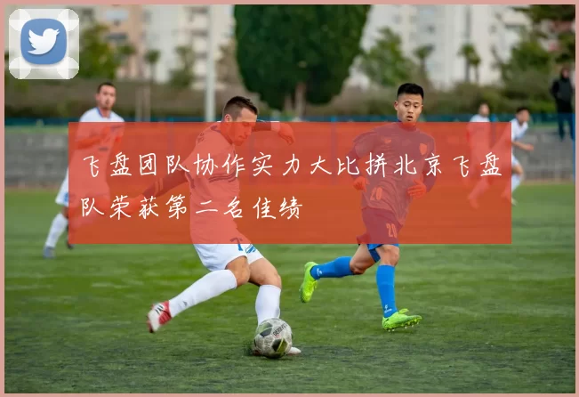 飞盘团队协作实力大比拼北京飞盘队荣获第二名佳绩
