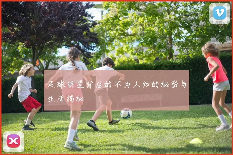 足球明星背后的不为人知的秘密与生活揭秘