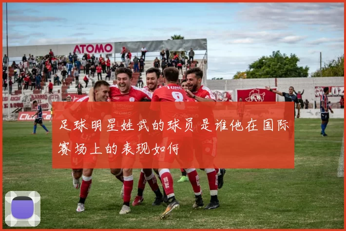 足球明星姓武的球员是谁他在国际赛场上的表现如何