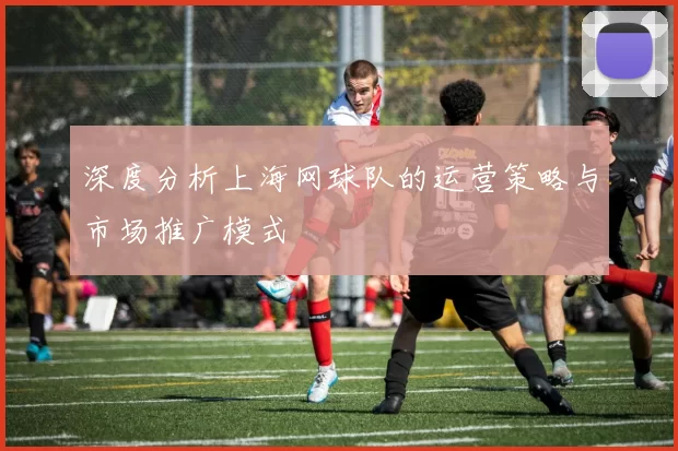 深度分析上海网球队的运营策略与市场推广模式