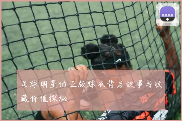 足球明星的正版球衣背后故事与收藏价值探秘