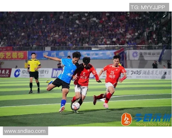 球迷文化的多元发展与社会影响探析：从热情到理性，体育精神的传承与创新