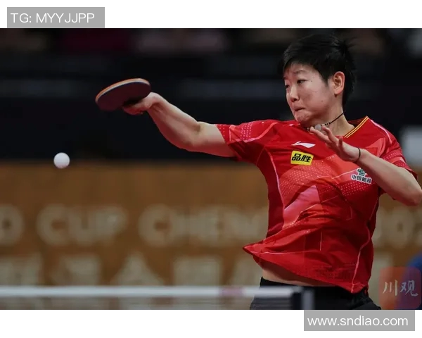 成都排球队在世界杯预选赛中的拼搏与荣耀之路详解