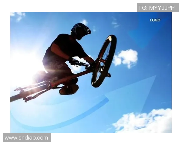 极限运动战术解析：西安极限运动队的控制与协调体系研究