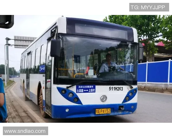 武汉乒乓球队的阵地战解析与未来发展展望