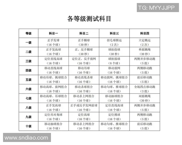 南京羽毛球队个人能力提升之路探讨与热议