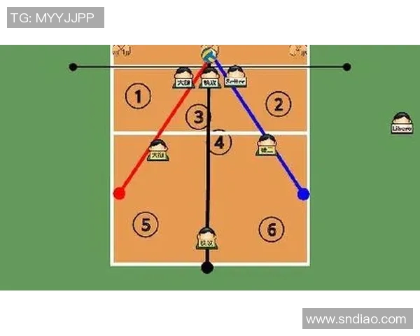广州排球队节奏对比深度解析与战术探讨