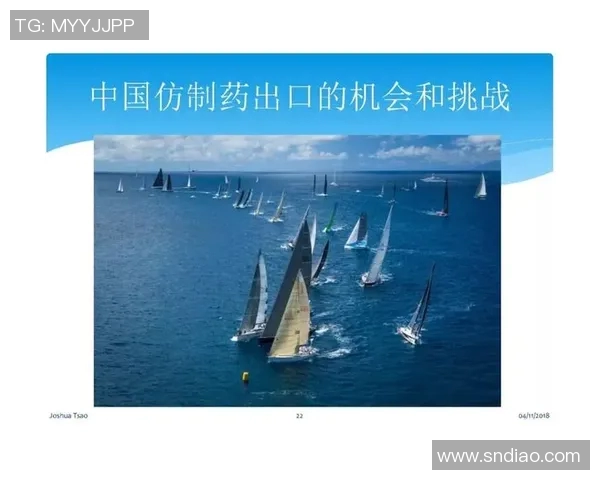 成都极限运动队运营分析与反思探讨极限运动发展的机遇与挑战